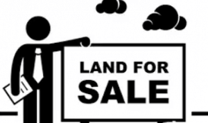 back taxes land for sale