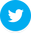 social icon twitter