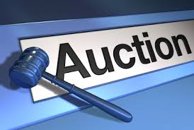 tax sale properties auction
