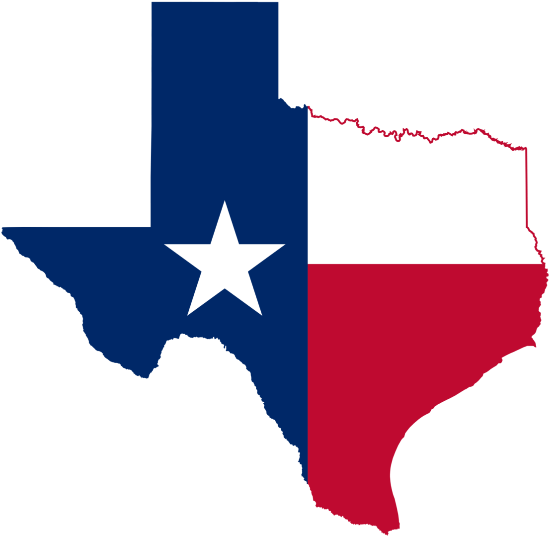 Learn How to Buy Tax Lien Properties in Texas for Texas-Sized Profits 1