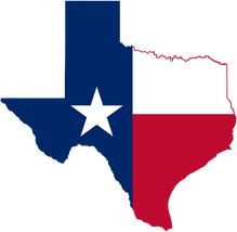 How to Purchase Tax Lien Properties in Texas 1
