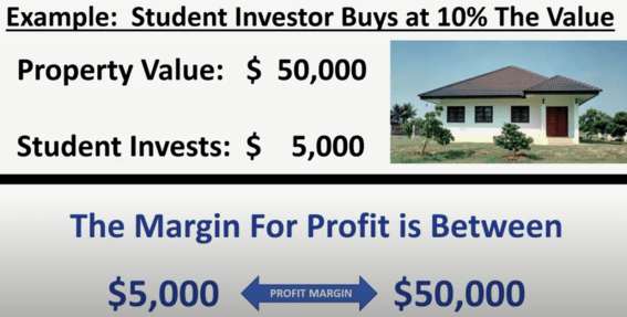 tax sale profit margin